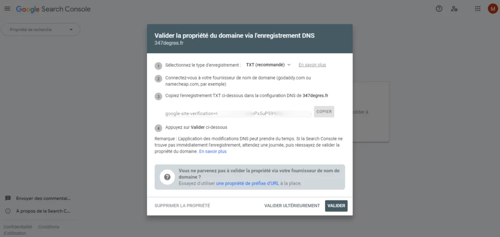 capture d'écran des instructions pour la configuration DNS de la search console