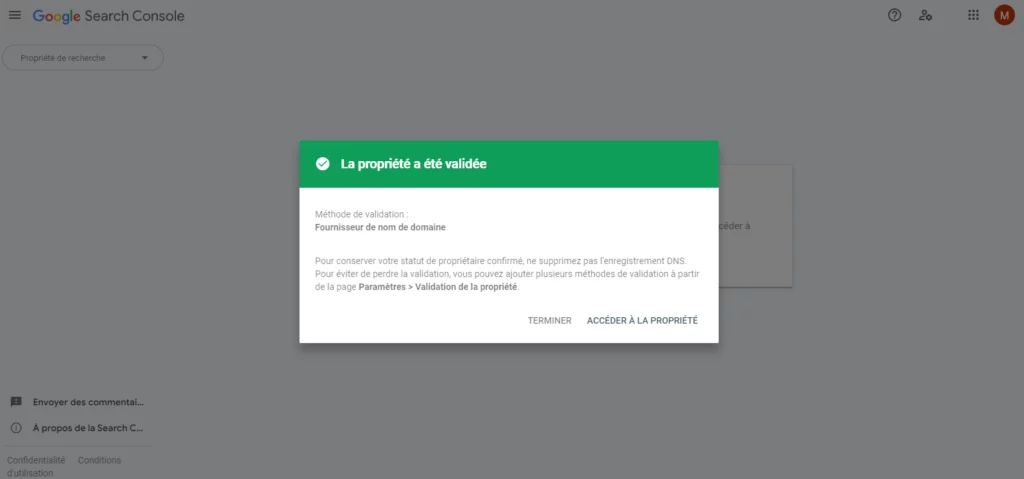 capture d'écran du logiciel en ligne search console de google, lors de la validation de la propriété